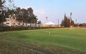 ccd1