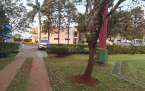 ccd3